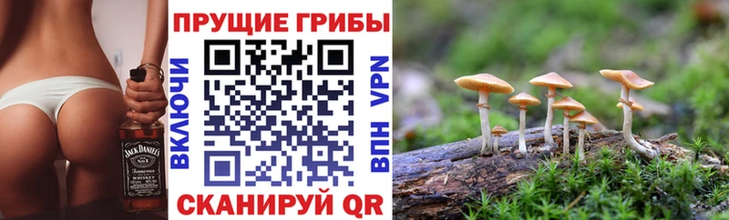 площадка наркотические препараты  Лихославль  Галлюциногенные грибы мицелий 